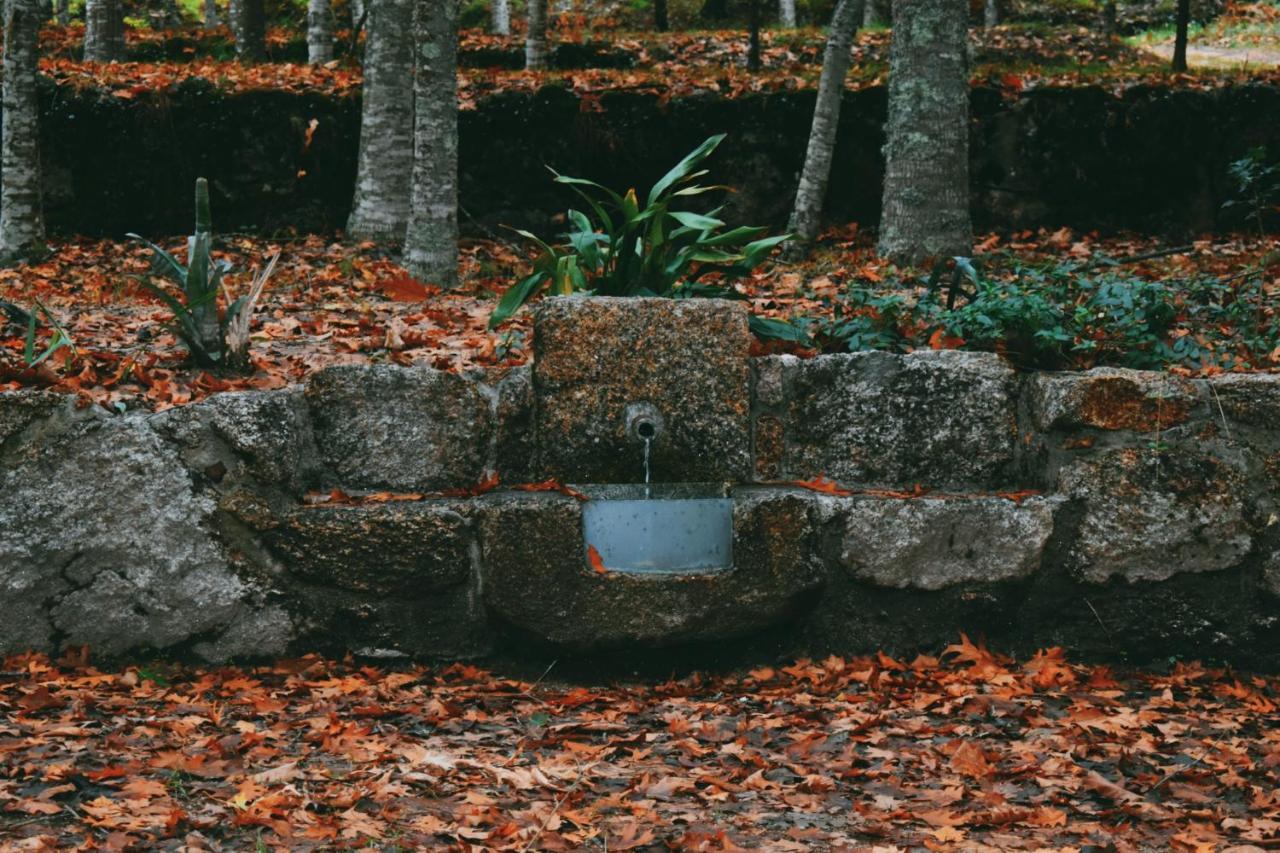 Quinta Das Fontes - Alojamento Rustico Local E Turismo Rural เซาเปโดรโดซูล ภายนอก รูปภาพ