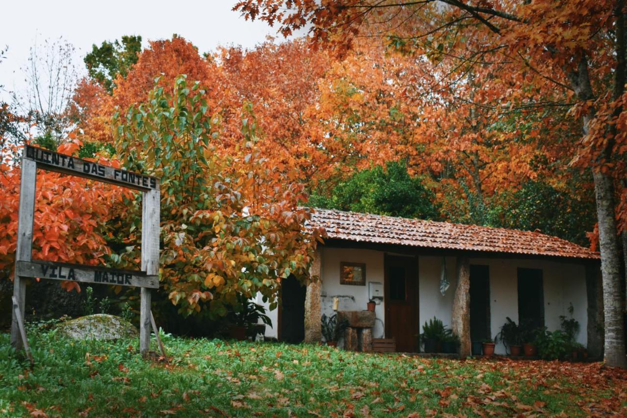 Quinta Das Fontes - Alojamento Rustico Local E Turismo Rural เซาเปโดรโดซูล ภายนอก รูปภาพ