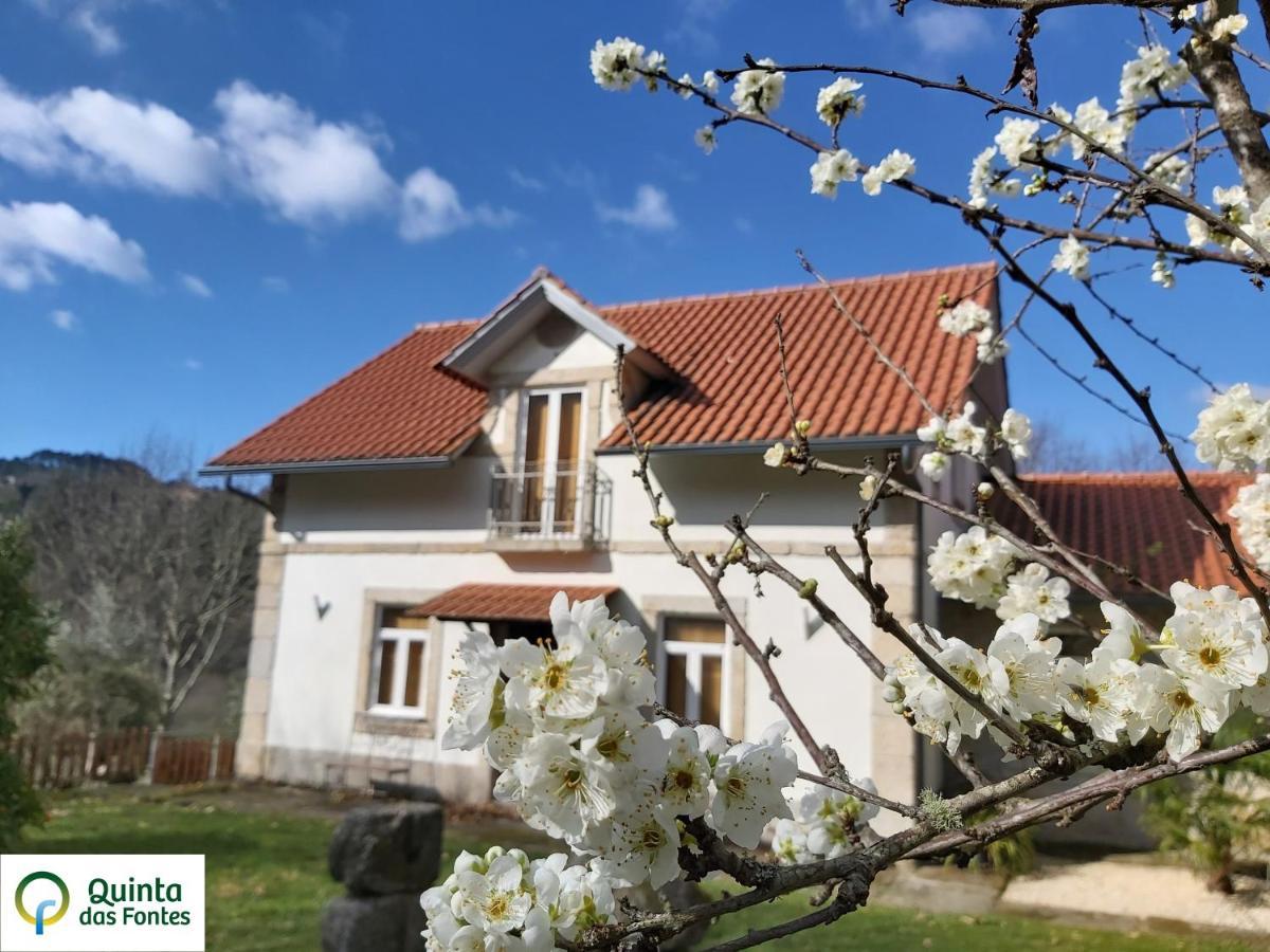Quinta Das Fontes - Alojamento Rustico Local E Turismo Rural เซาเปโดรโดซูล ภายนอก รูปภาพ
