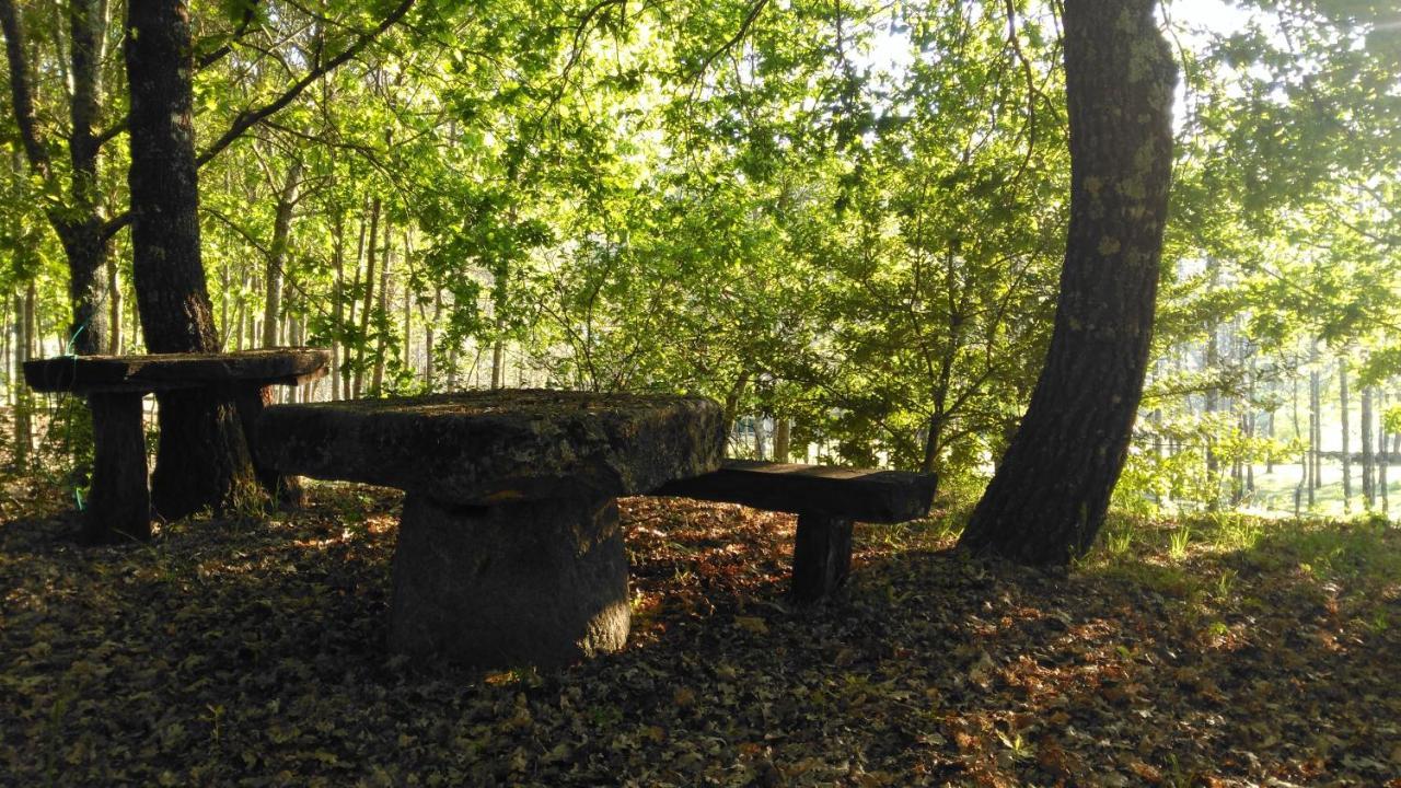 Quinta Das Fontes - Alojamento Rustico Local E Turismo Rural เซาเปโดรโดซูล ภายนอก รูปภาพ