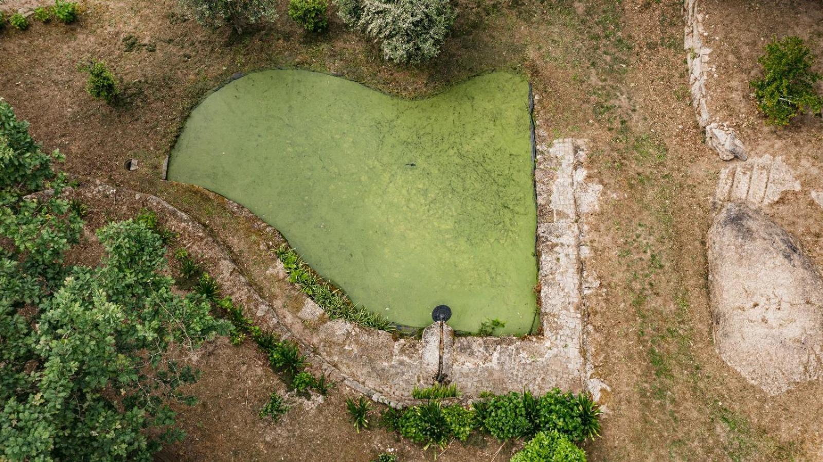 Quinta Das Fontes - Alojamento Rustico Local E Turismo Rural เซาเปโดรโดซูล ภายนอก รูปภาพ