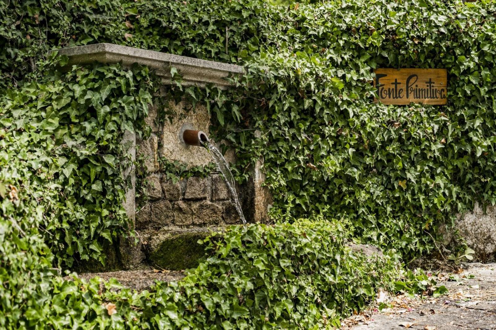 Quinta Das Fontes - Alojamento Rustico Local E Turismo Rural เซาเปโดรโดซูล ภายนอก รูปภาพ