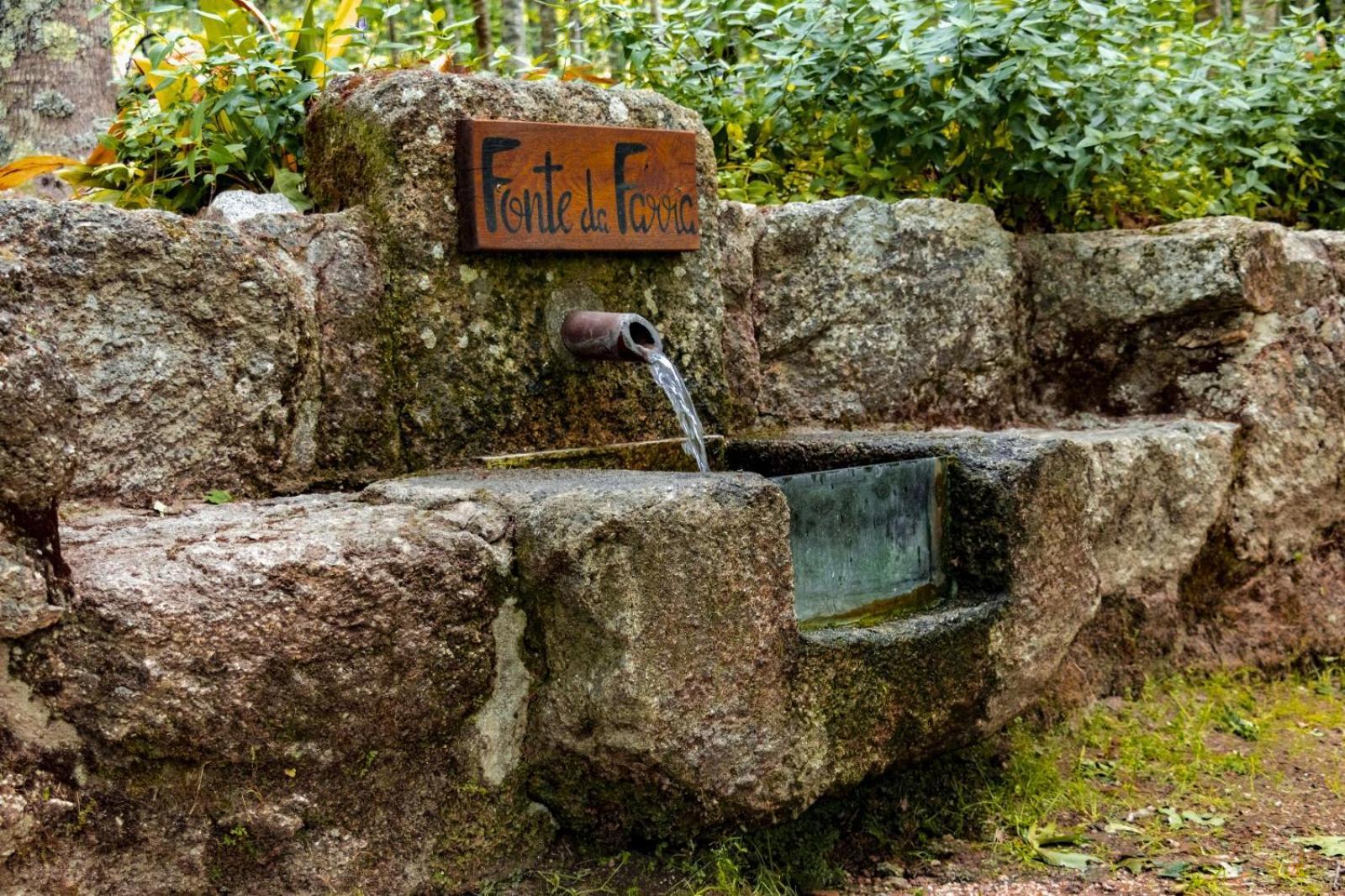 Quinta Das Fontes - Alojamento Rustico Local E Turismo Rural เซาเปโดรโดซูล ภายนอก รูปภาพ